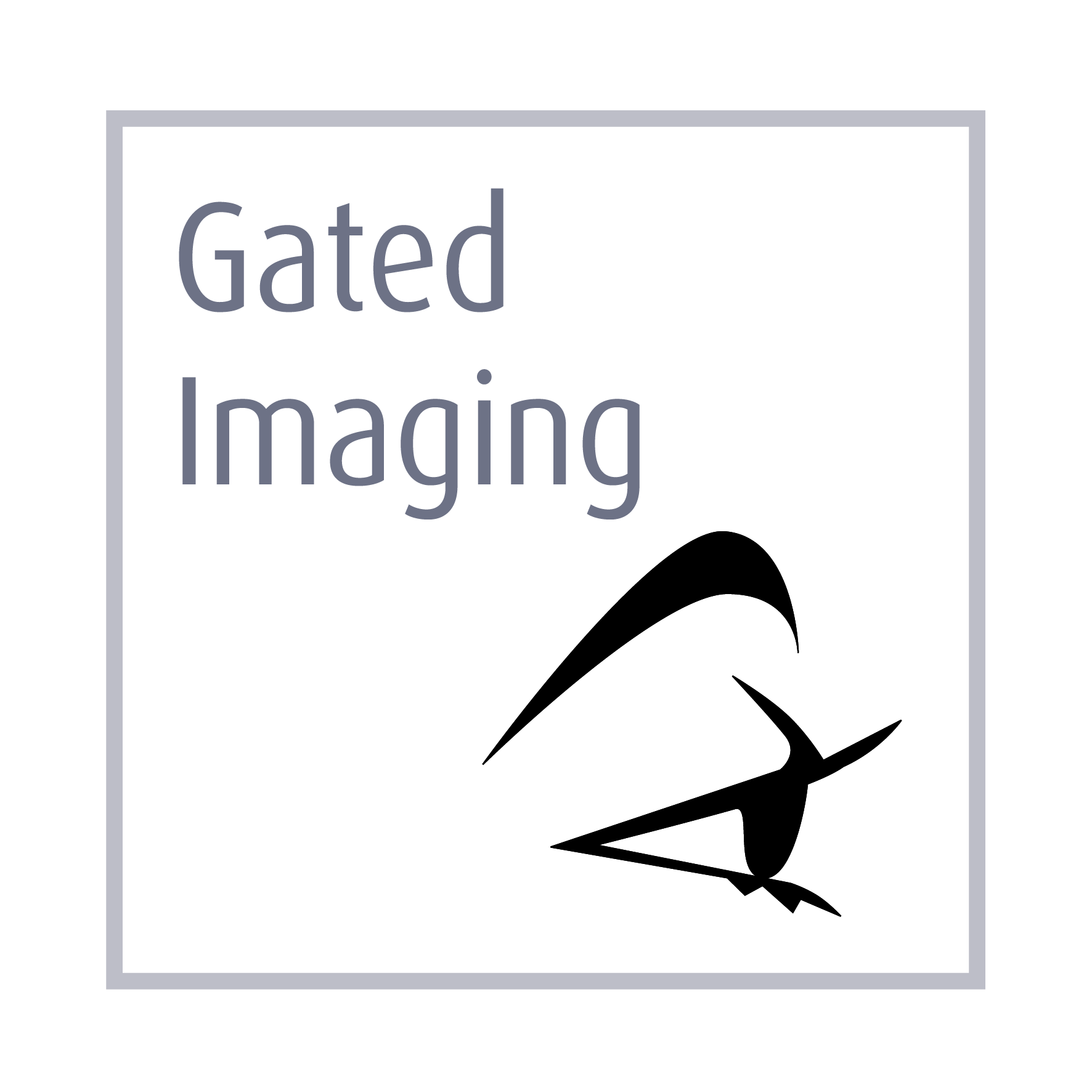 Gated Imaging