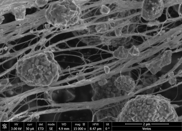 CENS process efficiently disperses CNT on Li-Ion battery cathode and anode powder. The process generates highly dispersed 3-D conductive network of CNT which drives Li ions along the nano tubes. This mechanism sharply increases battery capacity under high power mode