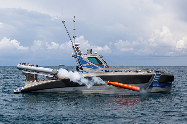 Seagull torpedo trial. Photo credit: Galina Kantor