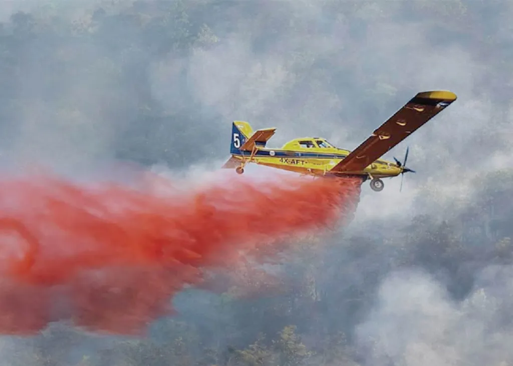 Aerial Firefighting squadron